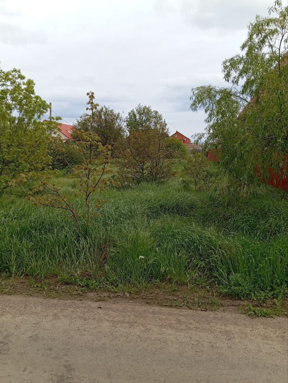 Фото объявления 2