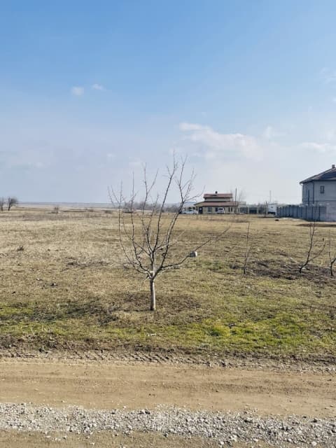 Продам участок в Сопино