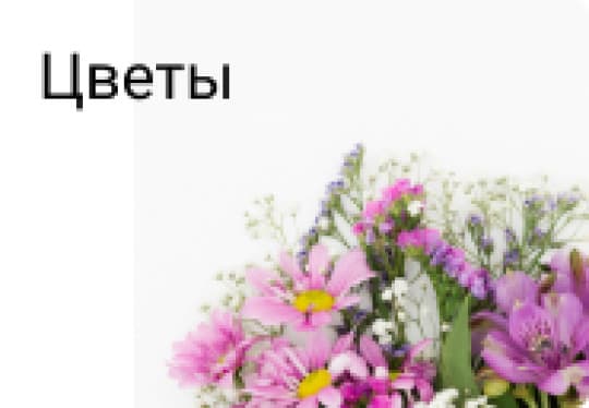 Цветы, растения и букеты