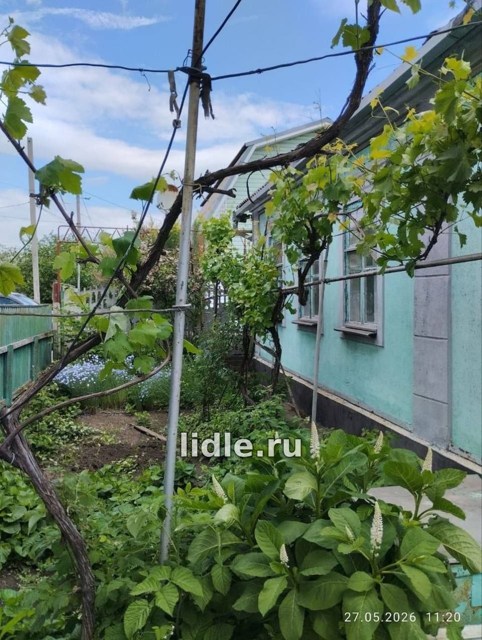 Фото объявления 3