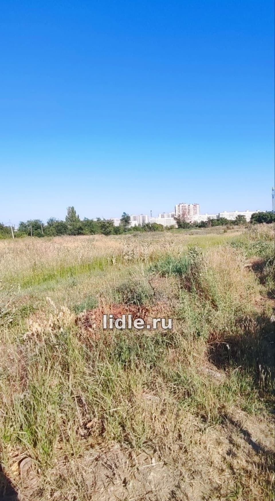Фото объявления 1