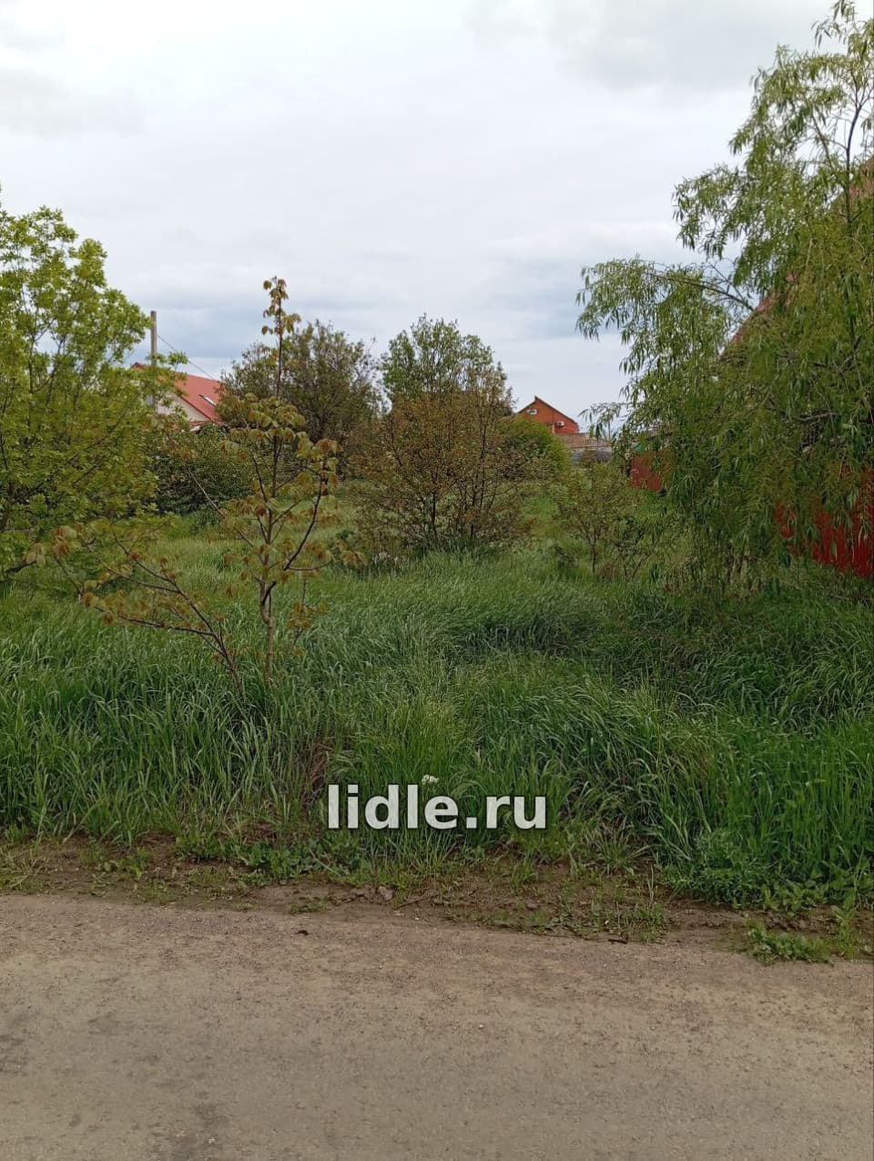 Фото объявления 2
